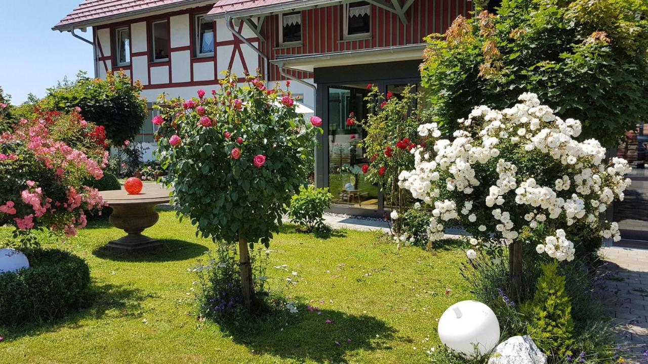 Landgut Apfelrose * FDH