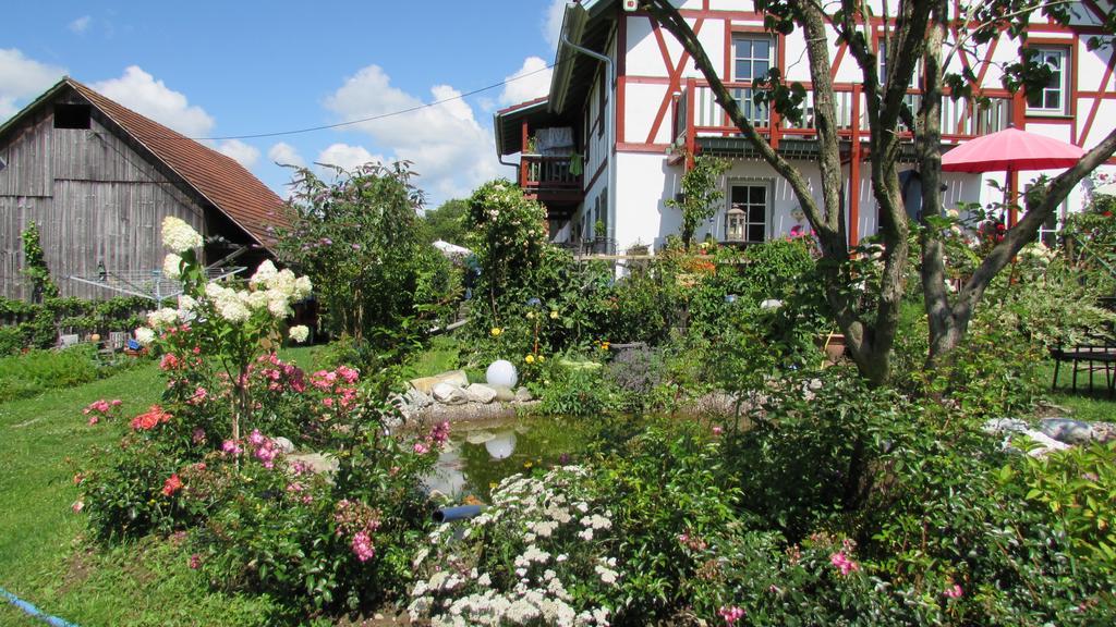Landgut Apfelrose *